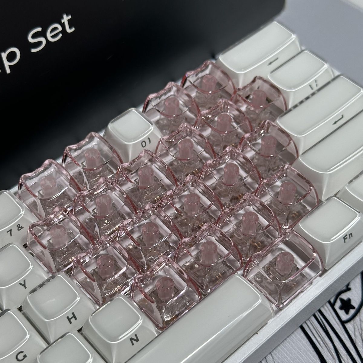 20個入り 1U キーキャップ 独自の猫の頭デザイン MAO - Keyboard Lube Kit のレビューと価格